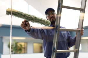 Window Cleaning Services